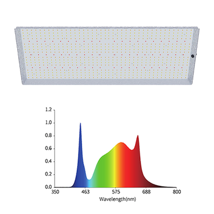 ledqbboard